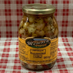 Lampascioni all'olio